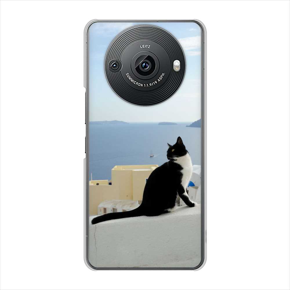 AQUOS R8 pro SH-51D docomo 高画質仕上げ 背面印刷 ハードケース 【VA805 ネコと地中海】