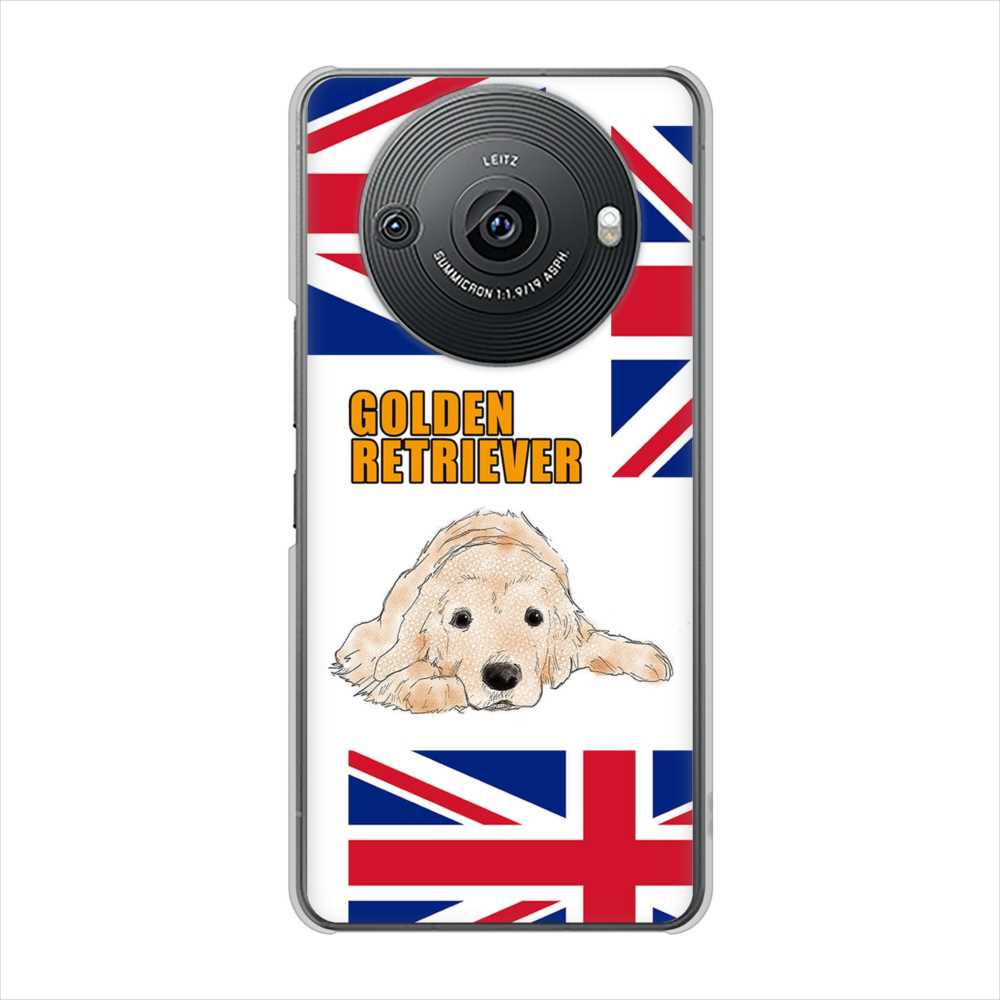 AQUOS R8 pro SH-51D docomo 高画質仕上げ 背面印刷 ハードケースゴールデンレトリバー