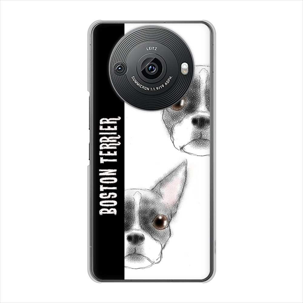 AQUOS R8 pro SH-51D docomo 高画質仕上げ 背面印刷 ハードケースボストンテリア