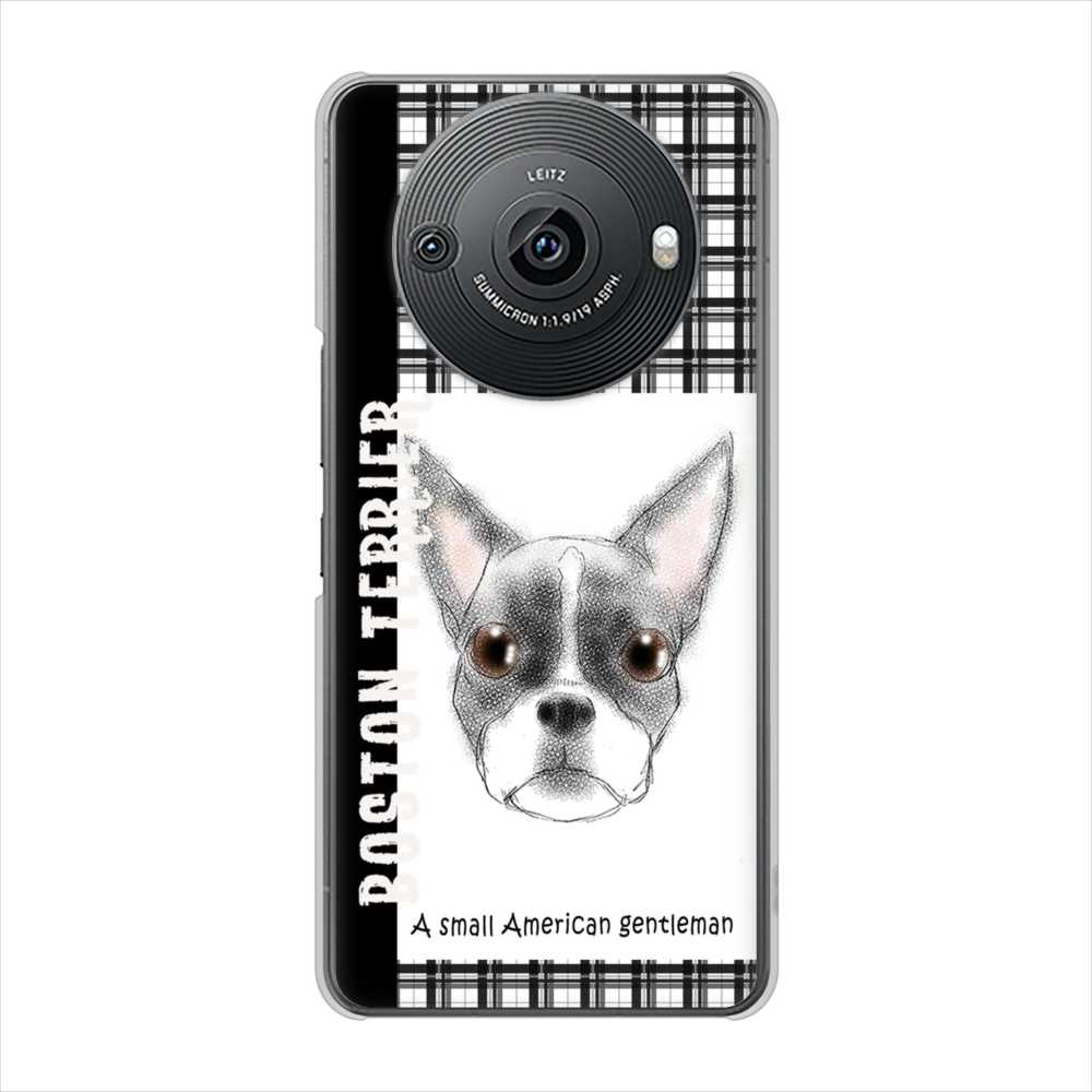 AQUOS R8 pro SH-51D docomo 高画質仕上げ 背面印刷 ハードケースボストンテリア