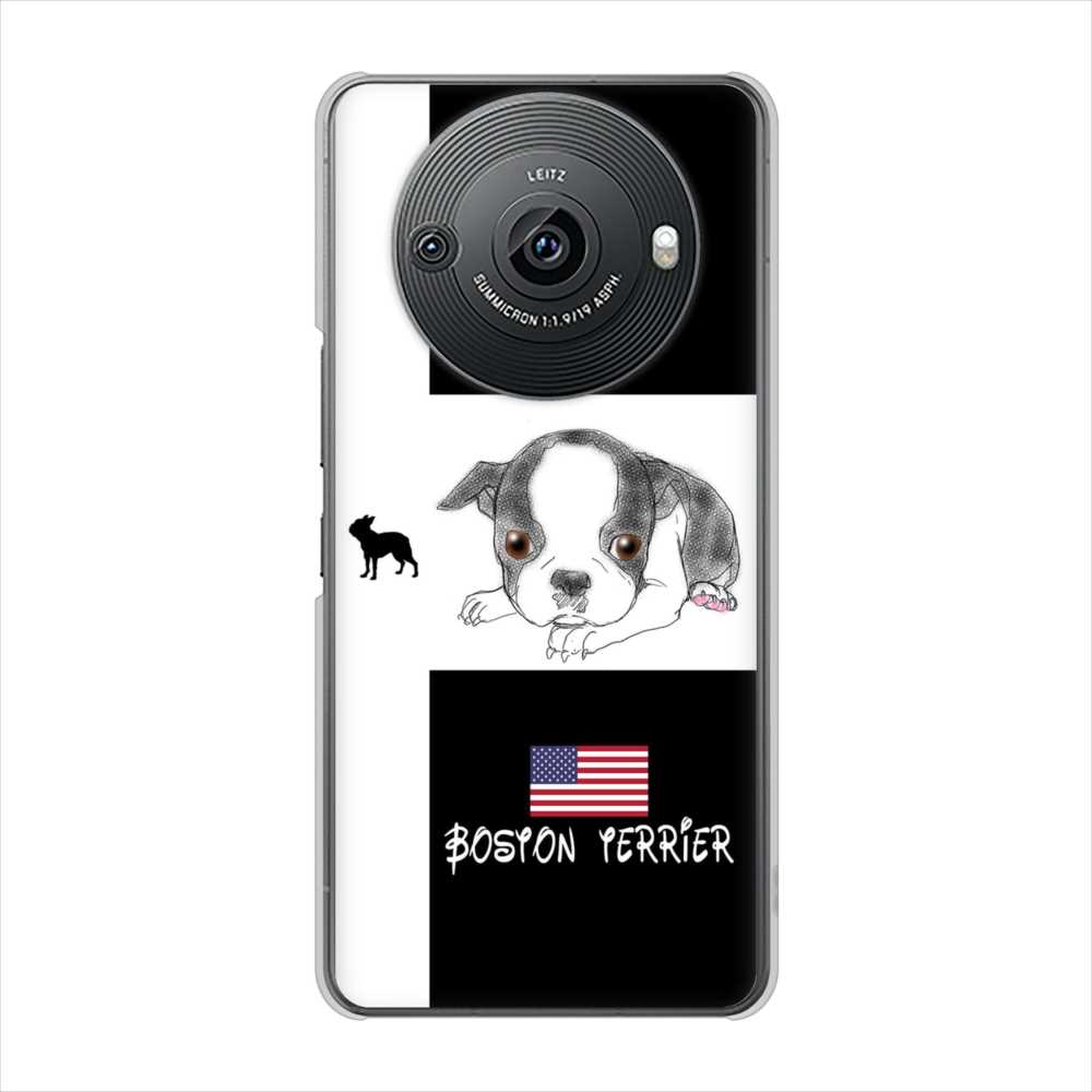 AQUOS R8 pro SH-51D docomo 高画質仕上げ 背面印刷 ハードケースボストンテリア