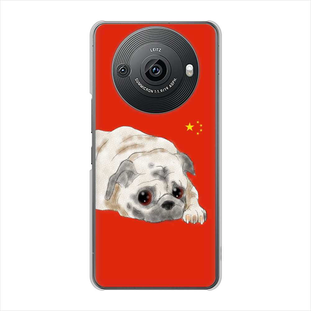 AQUOS R8 pro SH-51D docomo 高画質仕上げ 背面印刷 ハードケースパグ