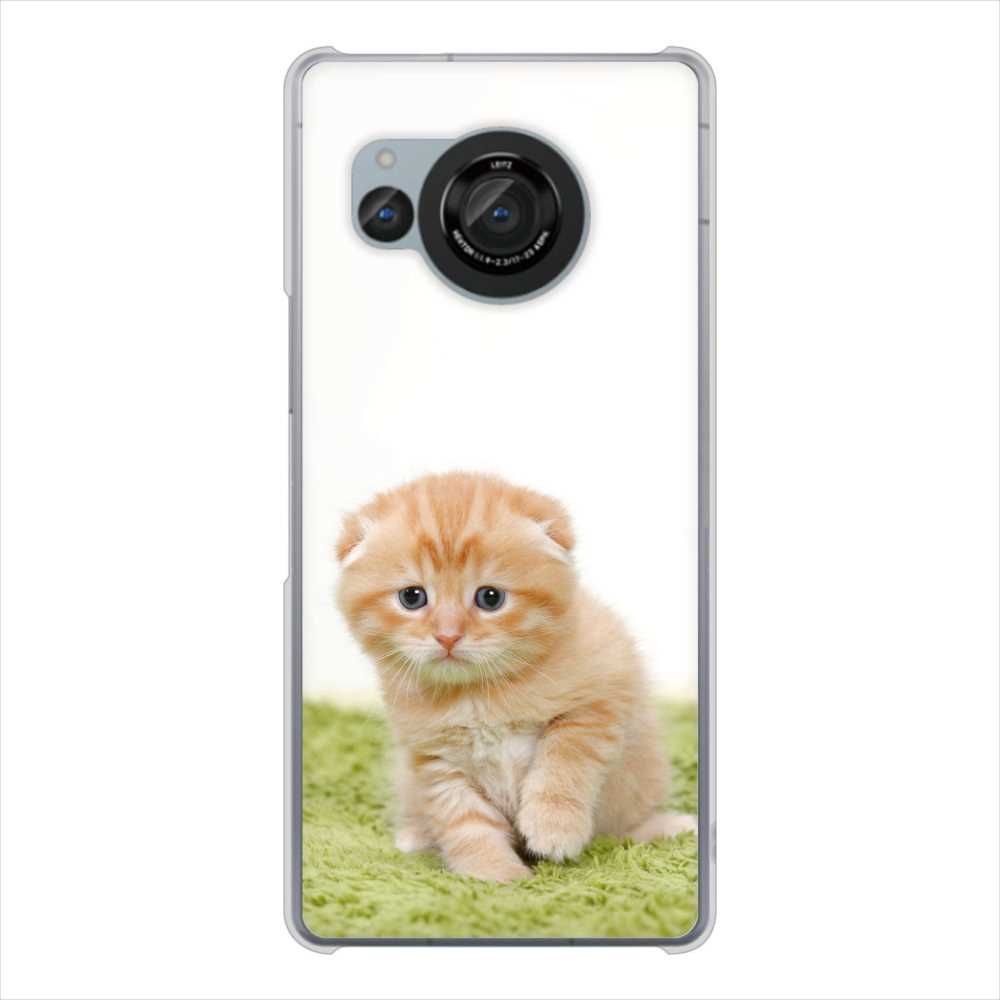 AQUOS R8 SH-52D docomo 高画質仕上げ 背面印刷 ハードケース 【VA802 ネコこっそり】