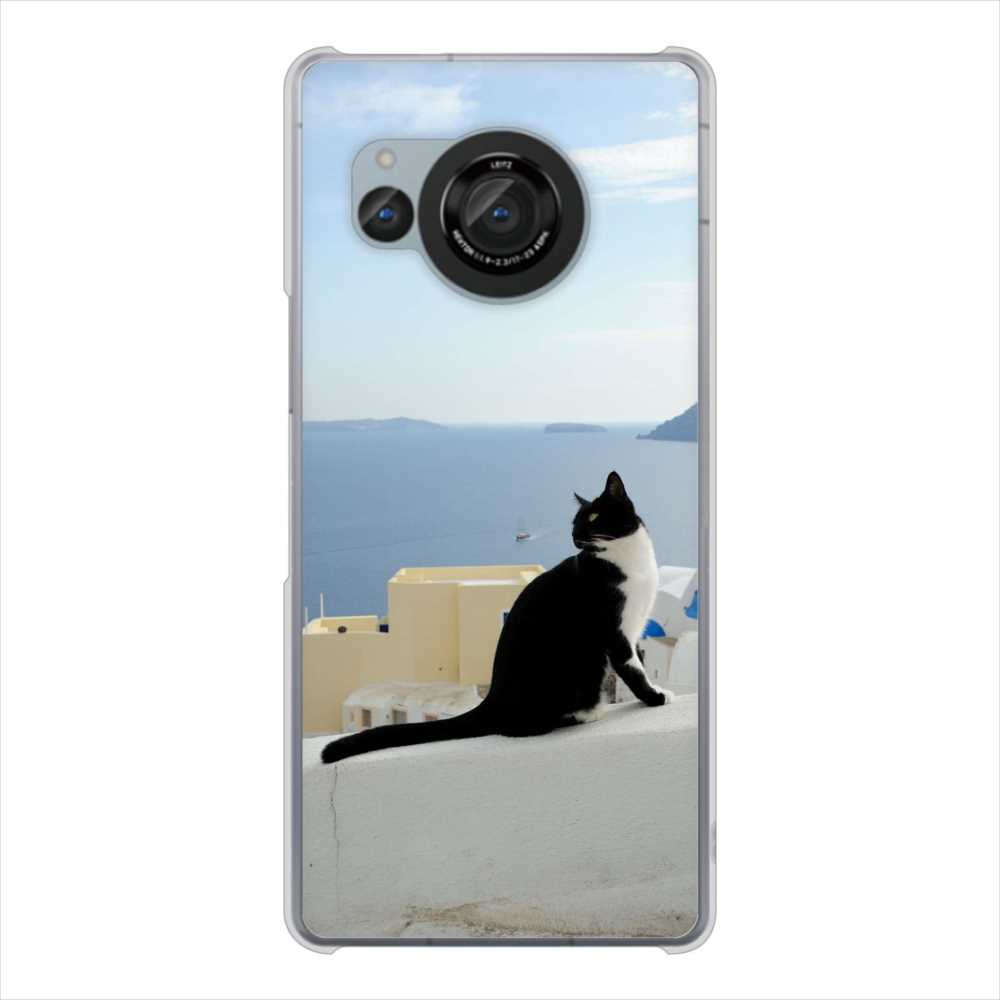 AQUOS R8 SH-52D docomo 高画質仕上げ 背面印刷 ハードケース 【VA805 ネコと地中海】