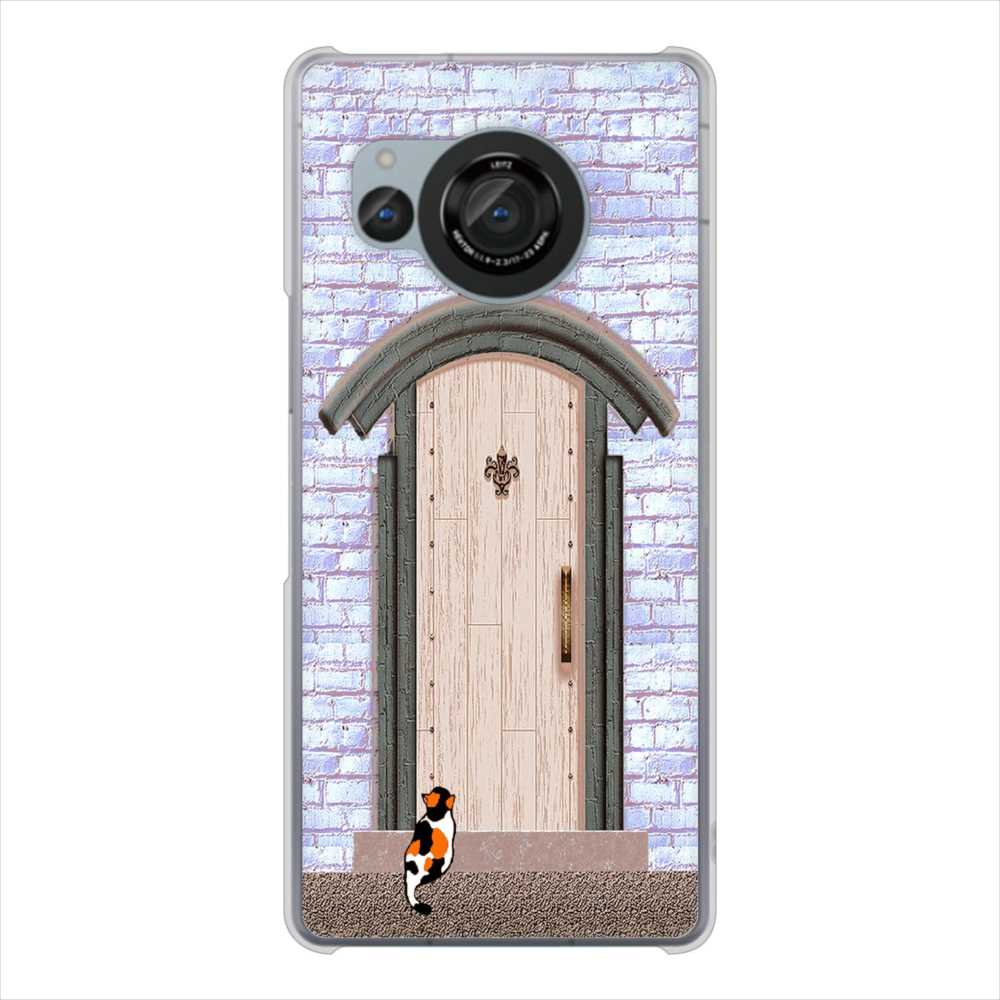 AQUOS R8 SH-52D docomo 高画質仕上げ 背面印刷 ハードケース猫とドア