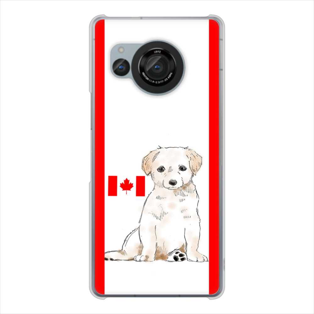 AQUOS R8 SH-52D docomo 高画質仕上げ 背面印刷 ハードケースラブラドールレトリバー