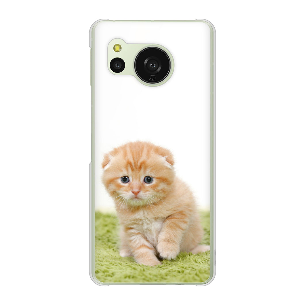 AQUOS sense8 SH-54D docomo 高画質仕上げ 背面印刷 ハードケース 【VA802 ネコこっそり】