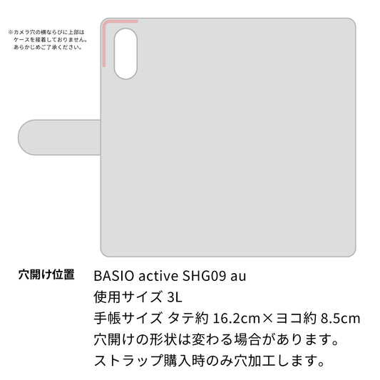 BASIO active SHG09 au ダイヤモンドパイソン(本革) 手帳型ケース