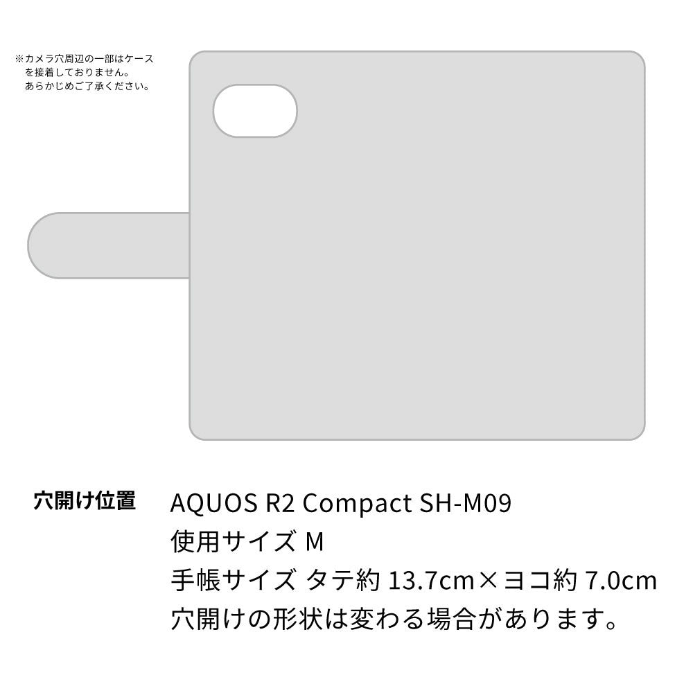 AQUOS R2 compact SH-M09 スマホショルダー 【 手帳型 Simple 名入れ 長さ調整可能ストラップ付き 】 耐衝撃