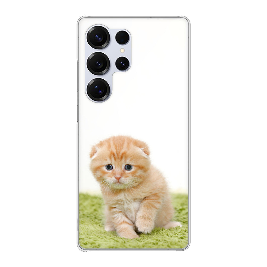 Galaxy S25 Ultra SM-S938Z SoftBank 高画質仕上げ 背面印刷 ハードケース 【VA802 ネコこっそり】