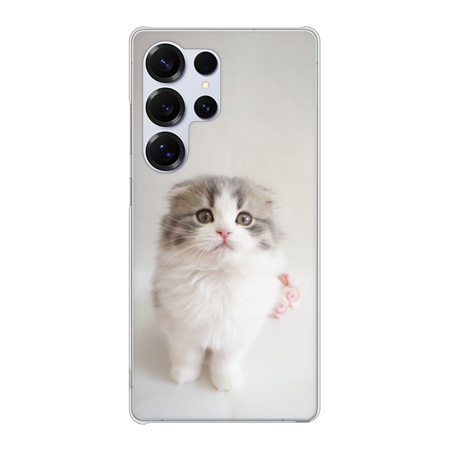 Galaxy S25 Ultra SM-S938Z SoftBank 高画質仕上げ 背面印刷 ハードケース 【VA803 まっていますネコ】