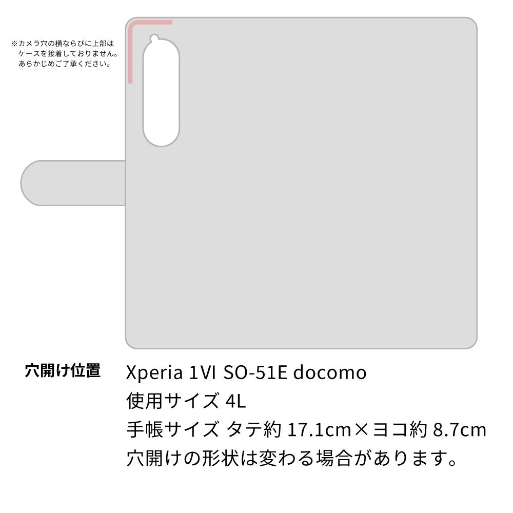 Xperia 1 VI SO-51E docomo スマホショルダー 【 手帳型 Simple 名入れ 長さ調整可能ストラップ付き 】 耐衝撃