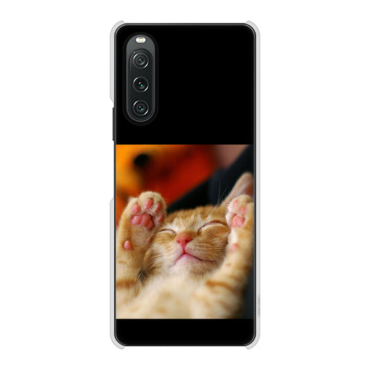 Xperia 10 V SO-52D docomo 高画質仕上げ 背面印刷 ハードケース 【VA804 爆睡するネコ】