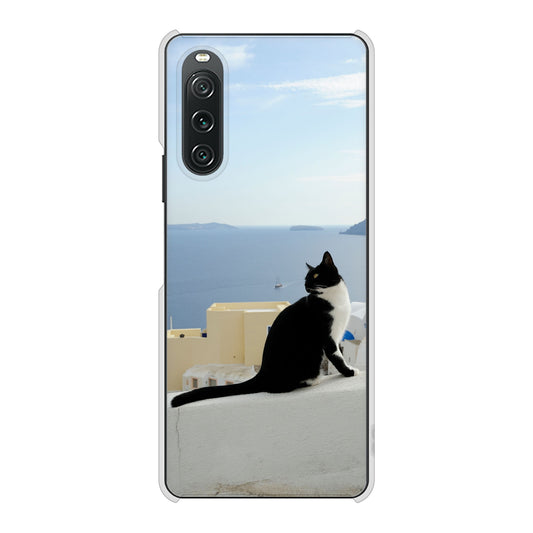 Xperia 10 V SO-52D docomo 高画質仕上げ 背面印刷 ハードケース 【VA805 ネコと地中海】