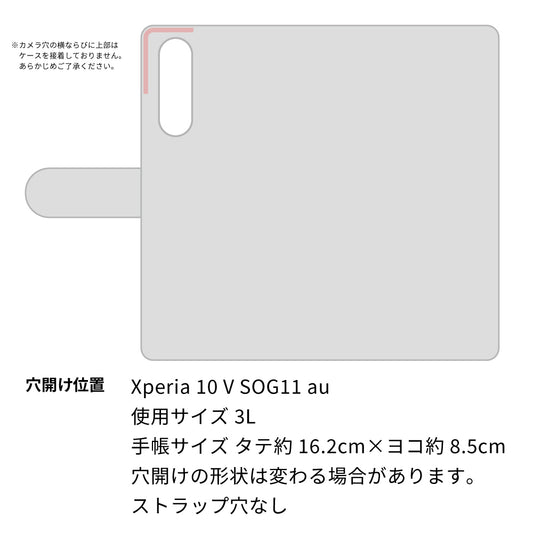 Xperia 10 V SOG11 au ビニール素材のスケルトン手帳型ケース　クリア