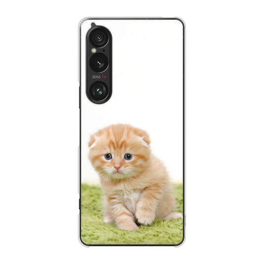 Xperia 1 VI SOG13 au 高画質仕上げ 背面印刷 ハードケース 【VA802 ネコこっそり】