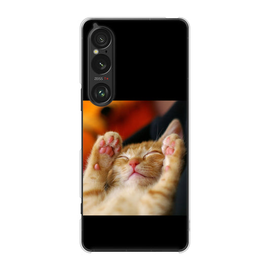 Xperia 1 VI SOG13 au 高画質仕上げ 背面印刷 ハードケース 【VA804 爆睡するネコ】