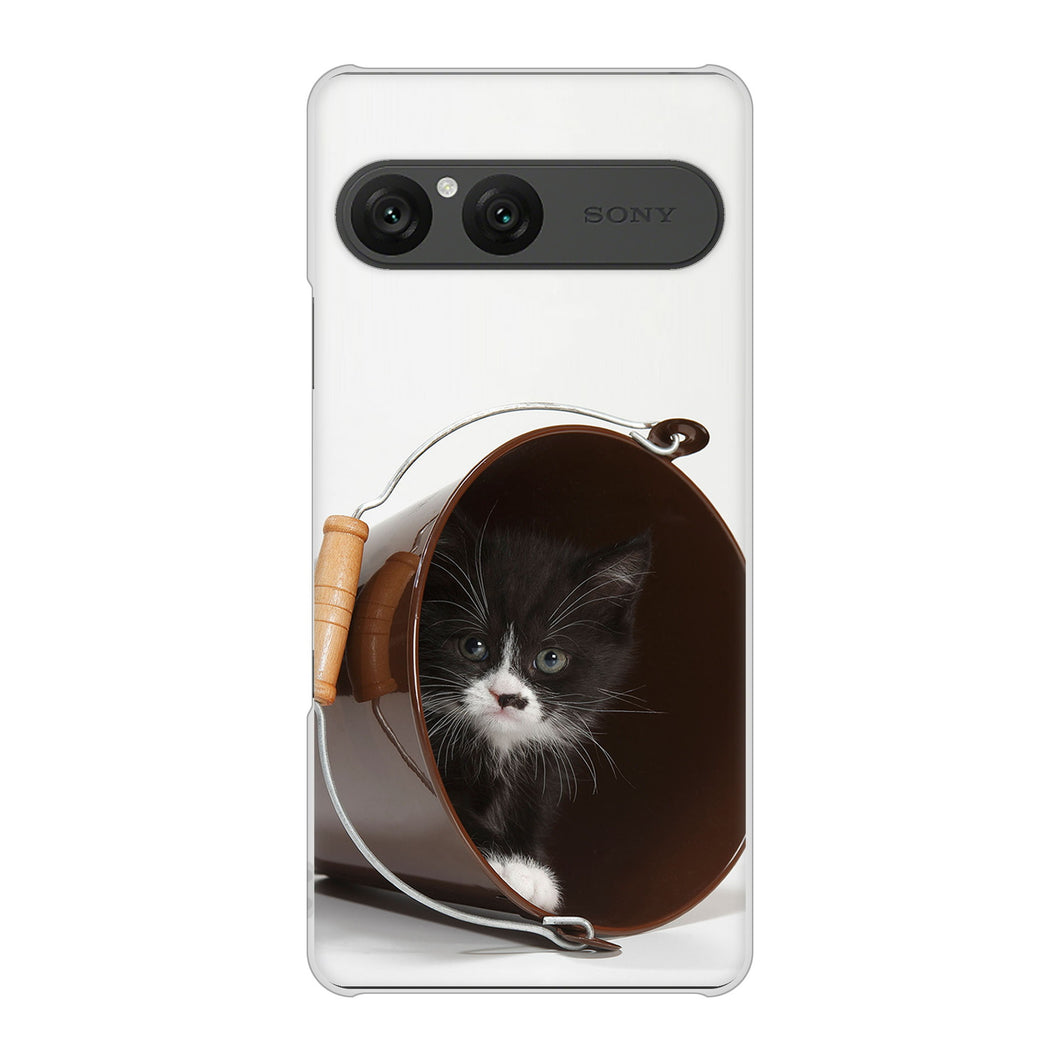 Xperia 10 VII SOG16 au 高画質仕上げ 背面印刷 ハードケース 【VA800 ネコとバケツ】