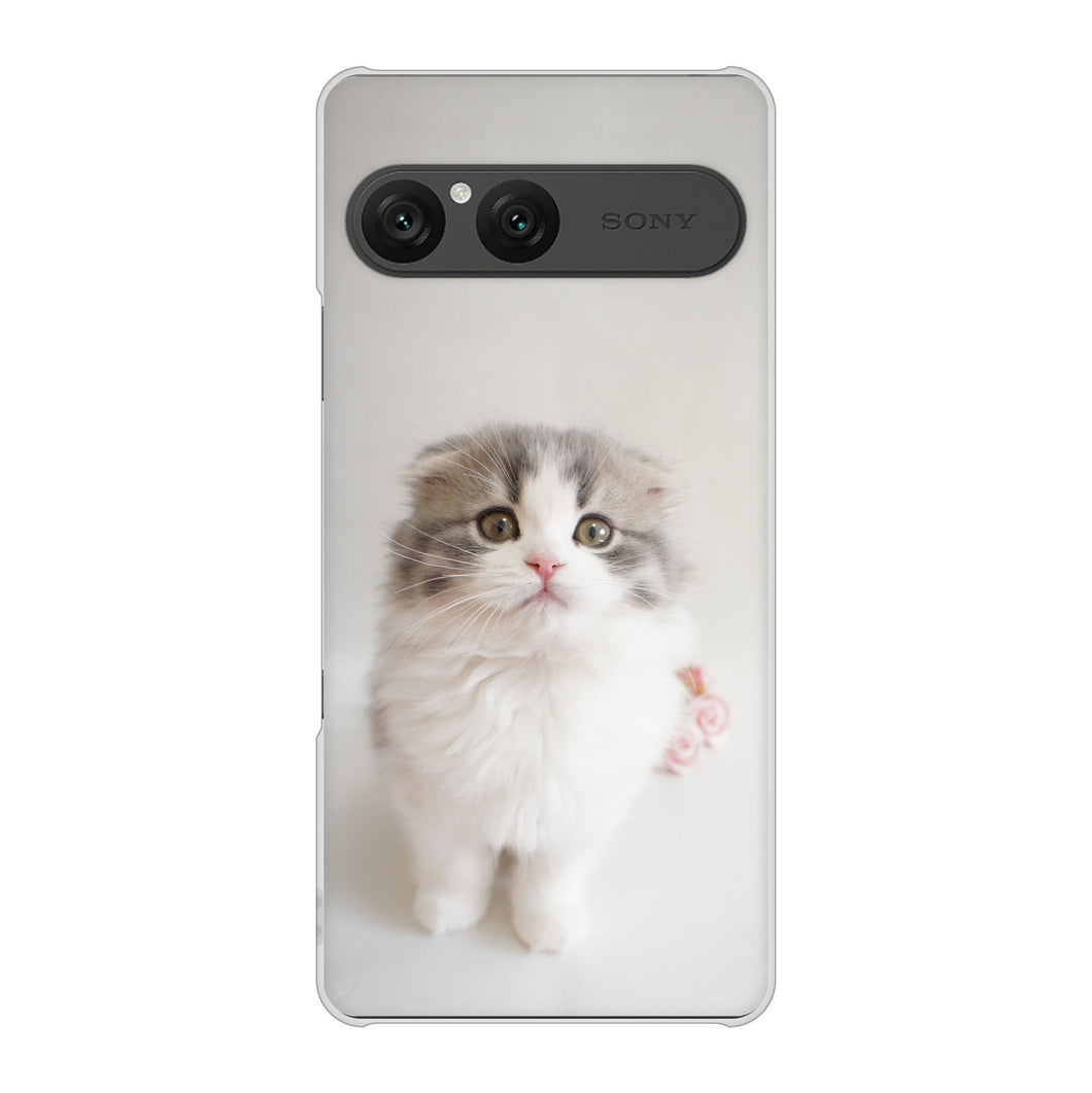 Xperia 10 VII SOG16 au 高画質仕上げ 背面印刷 ハードケース 【VA803 まっていますネコ】