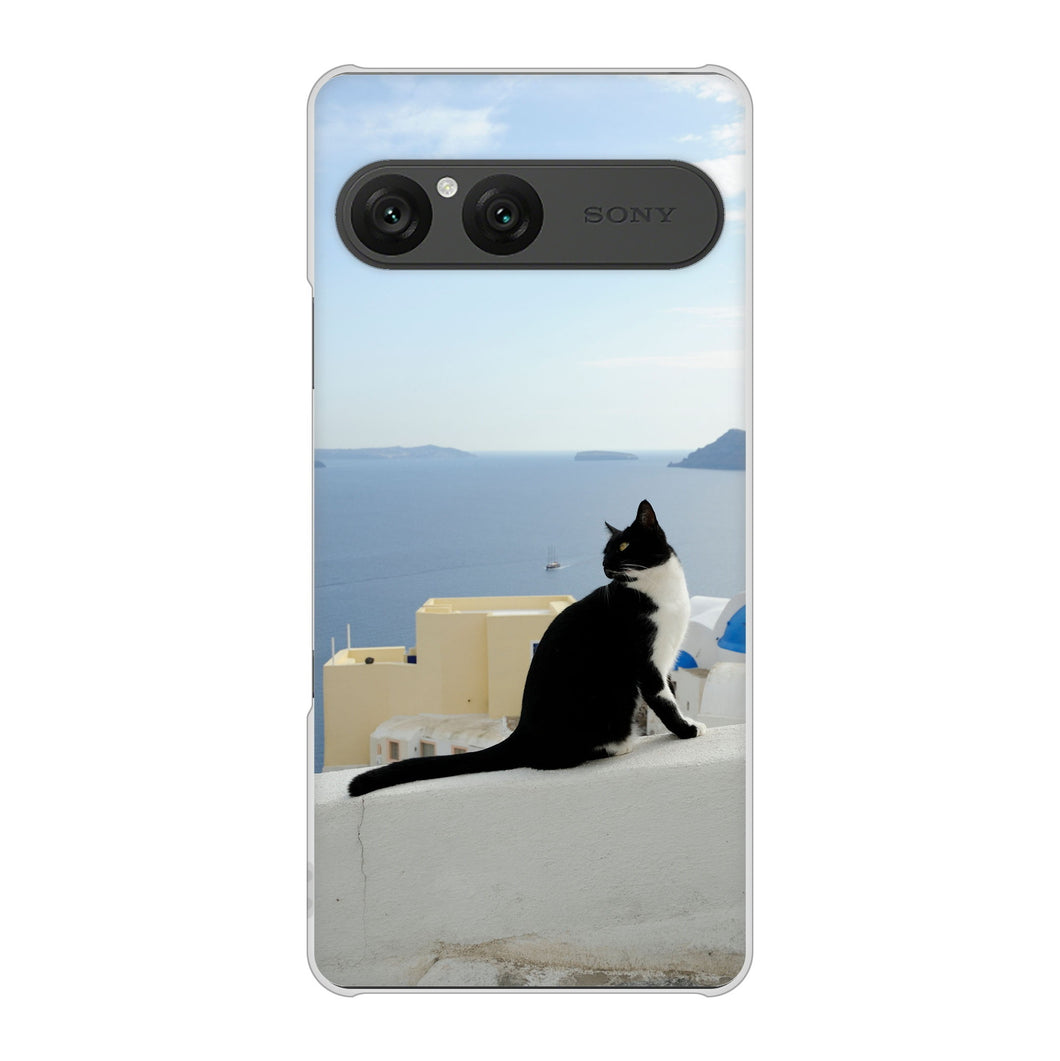 Xperia 10 VII SOG16 au 高画質仕上げ 背面印刷 ハードケース 【VA805 ネコと地中海】