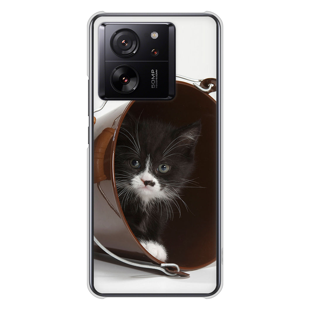 Xiaomi 13T XIG04 au 高画質仕上げ 背面印刷 ハードケース 【VA800 ネコとバケツ】