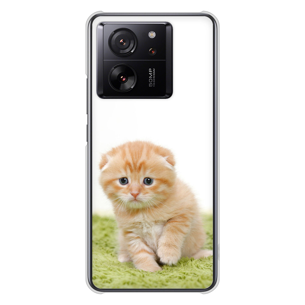 Xiaomi 13T XIG04 au 高画質仕上げ 背面印刷 ハードケース 【VA802 ネコこっそり】