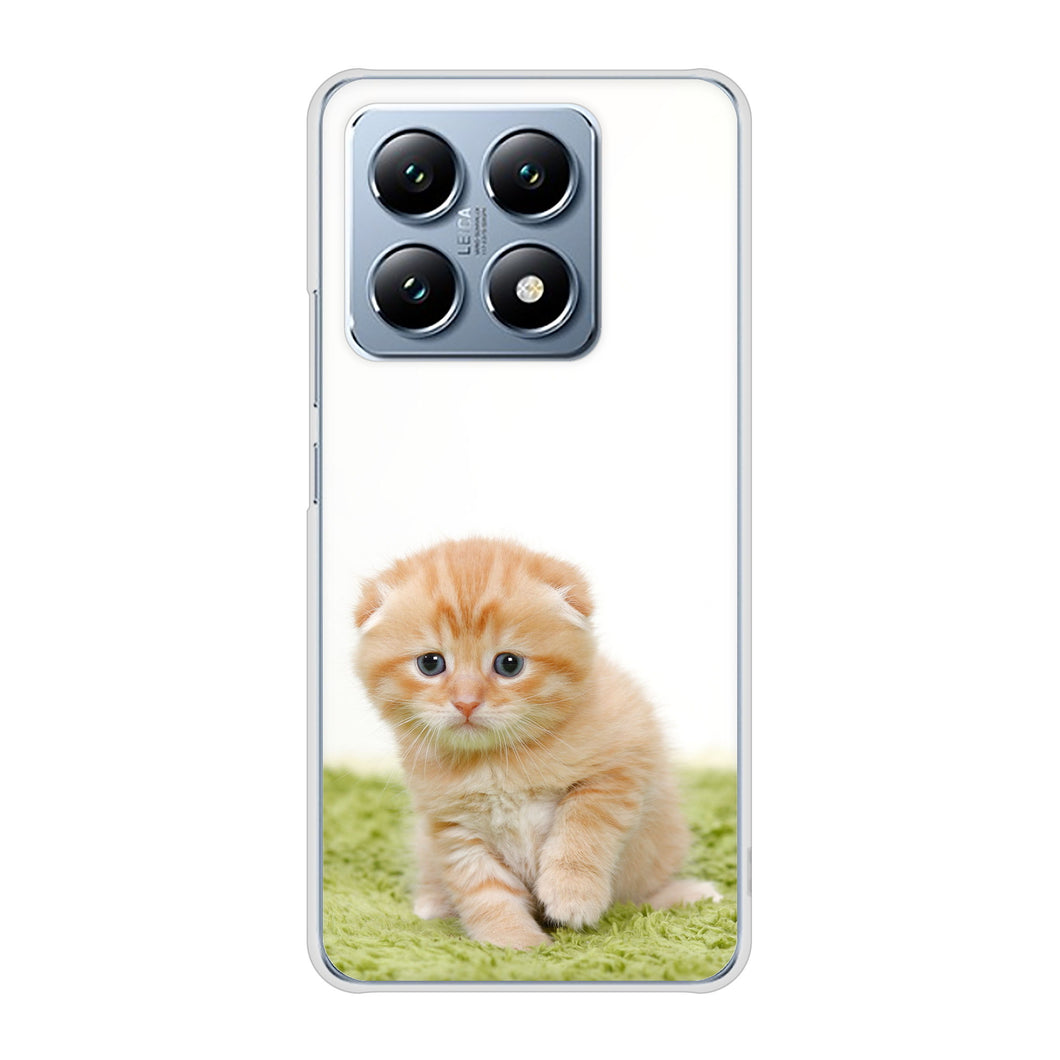 Xiaomi 14T XIG07 au 高画質仕上げ 背面印刷 ハードケース 【VA802 ネコこっそり】