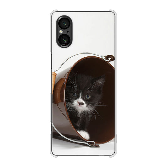 Xperia 5 V XQ-DE44 高画質仕上げ 背面印刷 ハードケース 【VA800 ネコとバケツ】