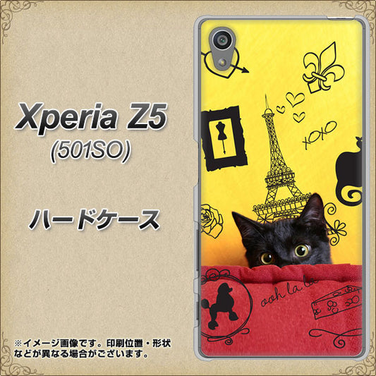 SoftBank エクスペリアZ5 501SO 高画質仕上げ 背面印刷 ハードケース【686 パリの子猫】