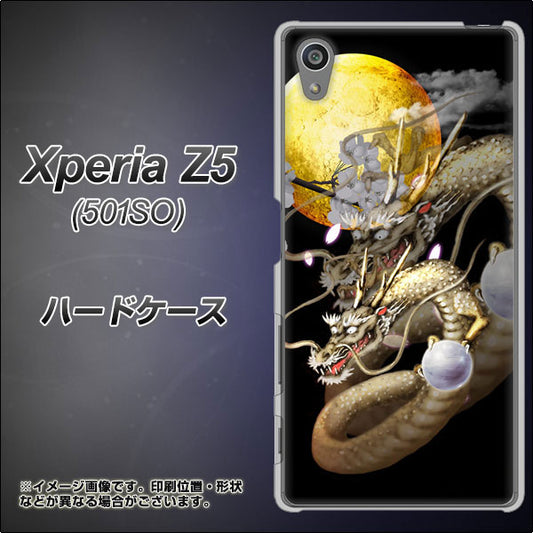 SoftBank エクスペリアZ5 501SO 高画質仕上げ 背面印刷 ハードケース【1003 月と龍】