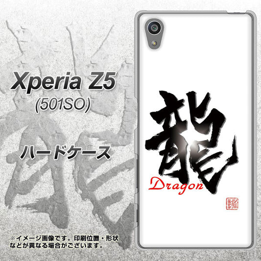 SoftBank エクスペリアZ5 501SO 高画質仕上げ 背面印刷 ハードケース【OE804 龍ノ書】