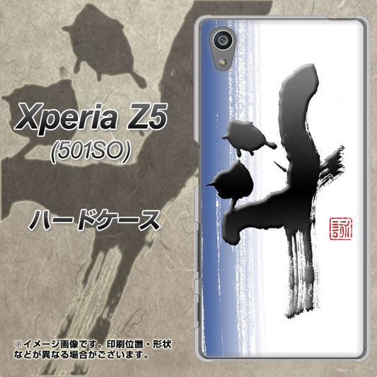 Xperia Z5 501SO SoftBank OE829 斗 ハードケース 背面印刷
