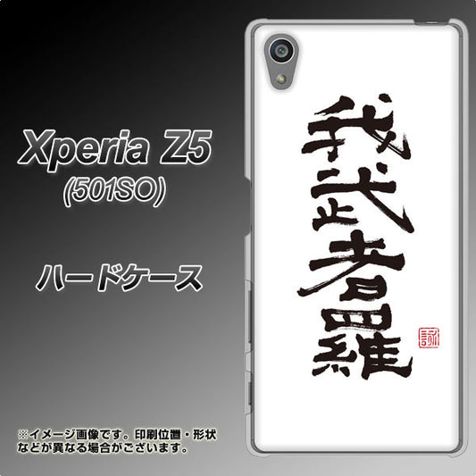 SoftBank エクスペリアZ5 501SO 高画質仕上げ 背面印刷 ハードケース【OE843 我武者羅(がむしゃら)】