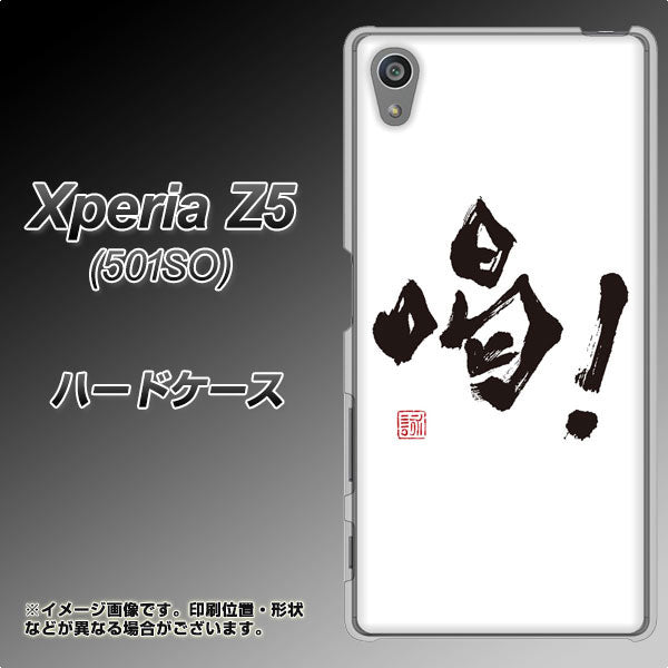SoftBank エクスペリアZ5 501SO 高画質仕上げ 背面印刷 ハードケース【OE845 喝!】