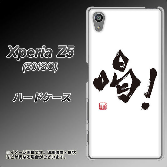 SoftBank エクスペリアZ5 501SO 高画質仕上げ 背面印刷 ハードケース【OE845 喝！】