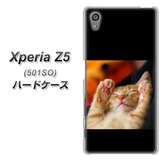 SoftBank エクスペリアZ5 501SO 高画質仕上げ 背面印刷 ハードケース【VA804 爆睡するネコ】