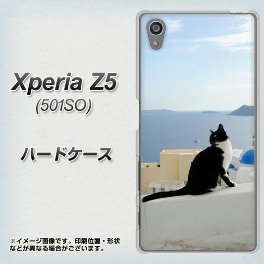 SoftBank エクスペリアZ5 501SO 高画質仕上げ 背面印刷 ハードケース【VA805 ネコと地中海】