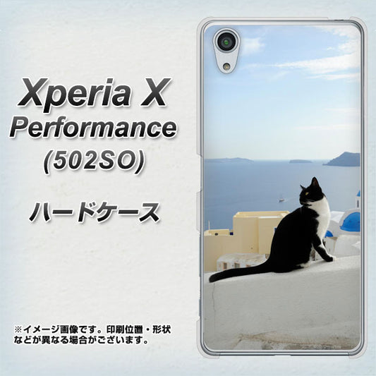 SoftBank エクスペリアX パフォーマンス 502SO 高画質仕上げ 背面印刷 ハードケース【VA805 ネコと地中海】