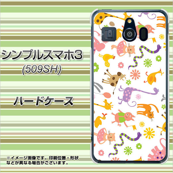 Softbank シンプルスマホ3 509SH 高画質仕上げ 背面印刷 ハードケース【134 Harry up!】