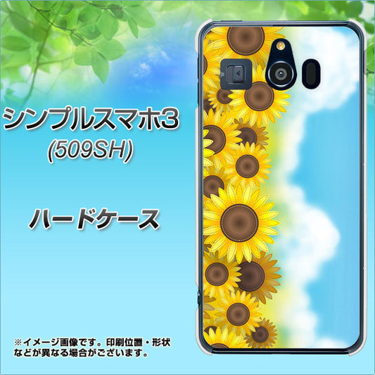 Softbank シンプルスマホ3 509SH 高画質仕上げ 背面印刷 ハードケース【148 ひまわり畑】