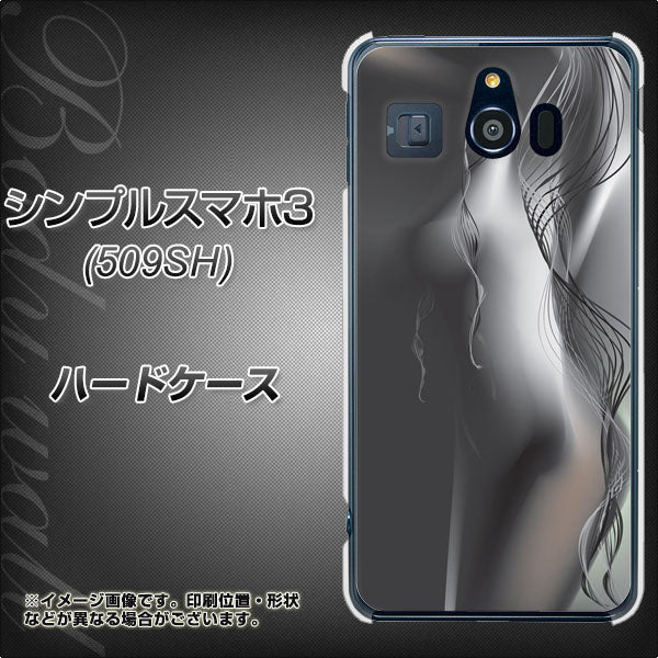 Softbank シンプルスマホ3 509SH 高画質仕上げ 背面印刷 ハードケース【566 ボディウォール】