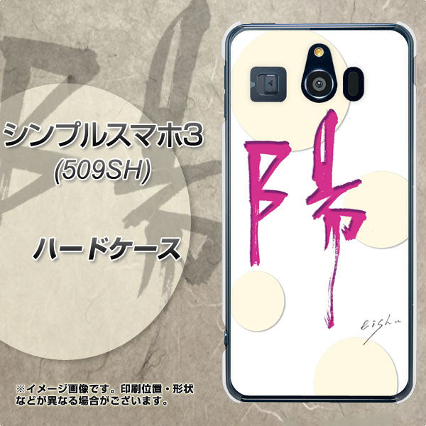 Softbank シンプルスマホ3 509SH 高画質仕上げ 背面印刷 ハードケース【OE833 陽】