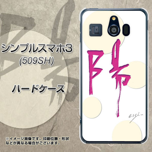 Softbank シンプルスマホ3 509SH 高画質仕上げ 背面印刷 ハードケース【OE833 陽】