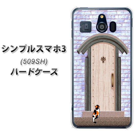 Softbank シンプルスマホ3 509SH 高画質仕上げ 背面印刷 ハードケース【YA952 石ドア02 素材クリア】