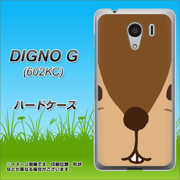 SoftBank ディグノG 602KC 高画質仕上げ 背面印刷 ハードケース【349 りす】