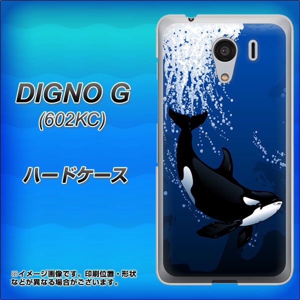 SoftBank ディグノG 602KC 高画質仕上げ 背面印刷 ハードケース【423 シャチ】