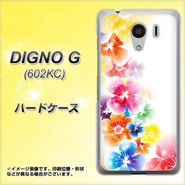 SoftBank ディグノG 602KC 高画質仕上げ 背面印刷 ハードケース【1209 光と花】