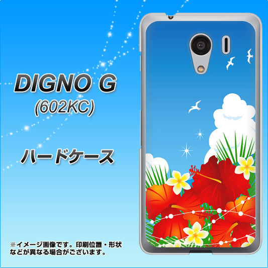 SoftBank ディグノG 602KC 高画質仕上げ 背面印刷 ハードケース【VA821 ハイビスカスと青空】