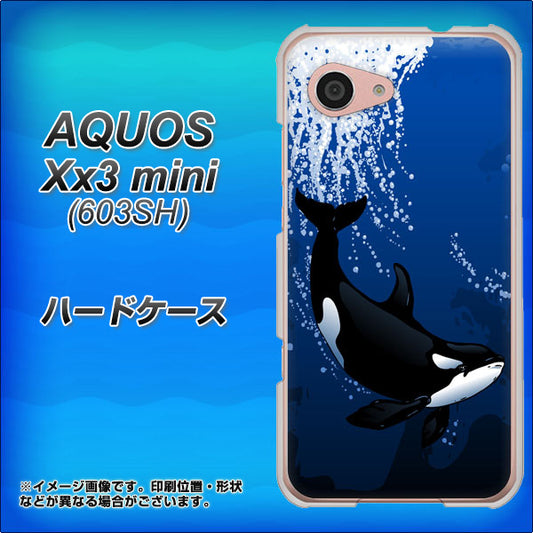 SoftBank アクオス Xx3 mini 603SH 高画質仕上げ 背面印刷 ハードケース【423 シャチ】