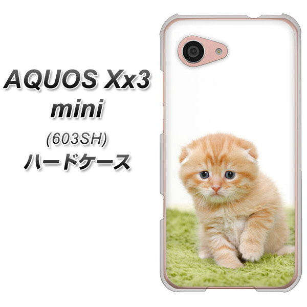 SoftBank アクオス Xx3 mini 603SH 高画質仕上げ 背面印刷 ハードケース【VA802 ネコこっそり】